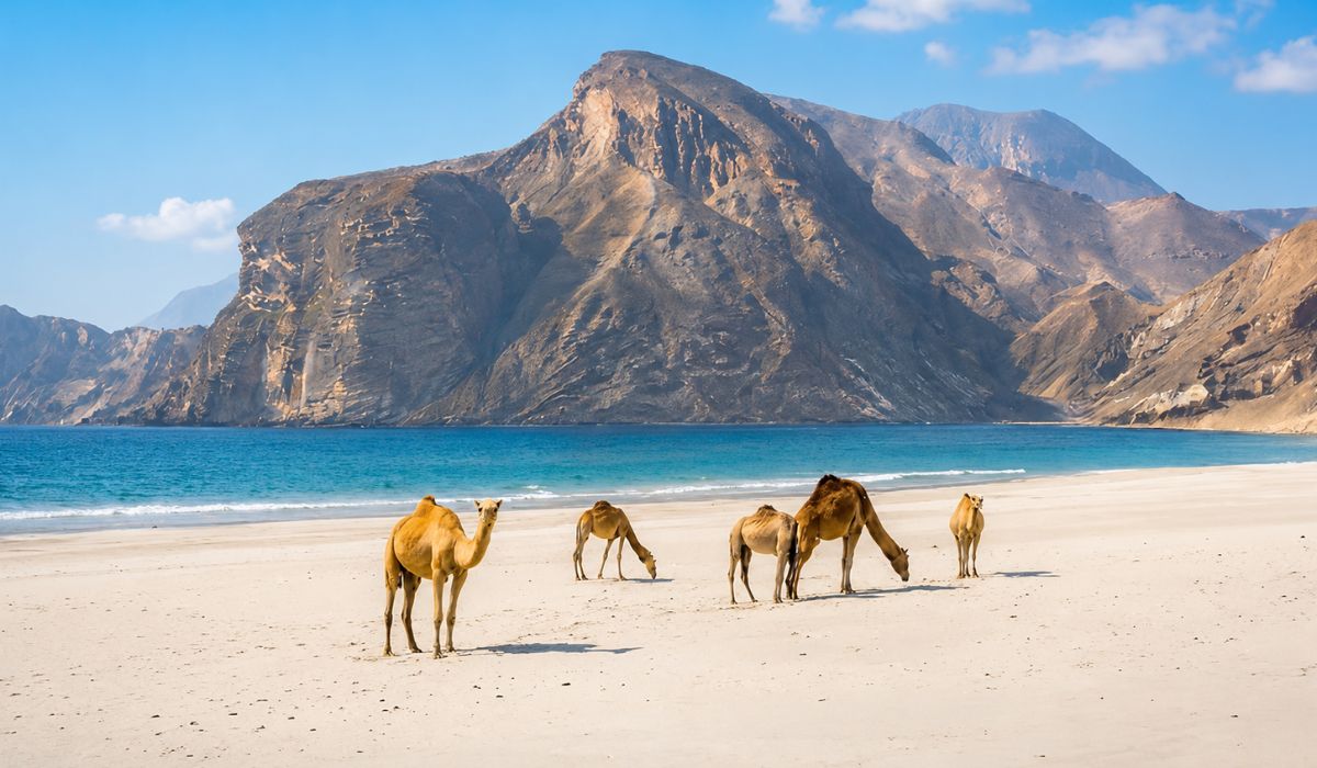 Never Been To Oman Before? Start With This Exact List